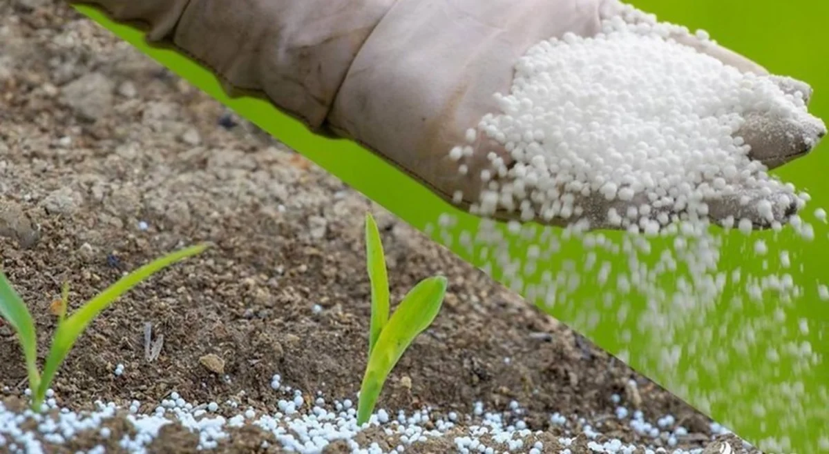 Azərbaycan karbamid ixracını 67 %-dək artırıb