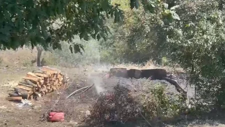 Göygöldə qanunsuz ocaqxanaların fəaliyyəti dayandırılıb