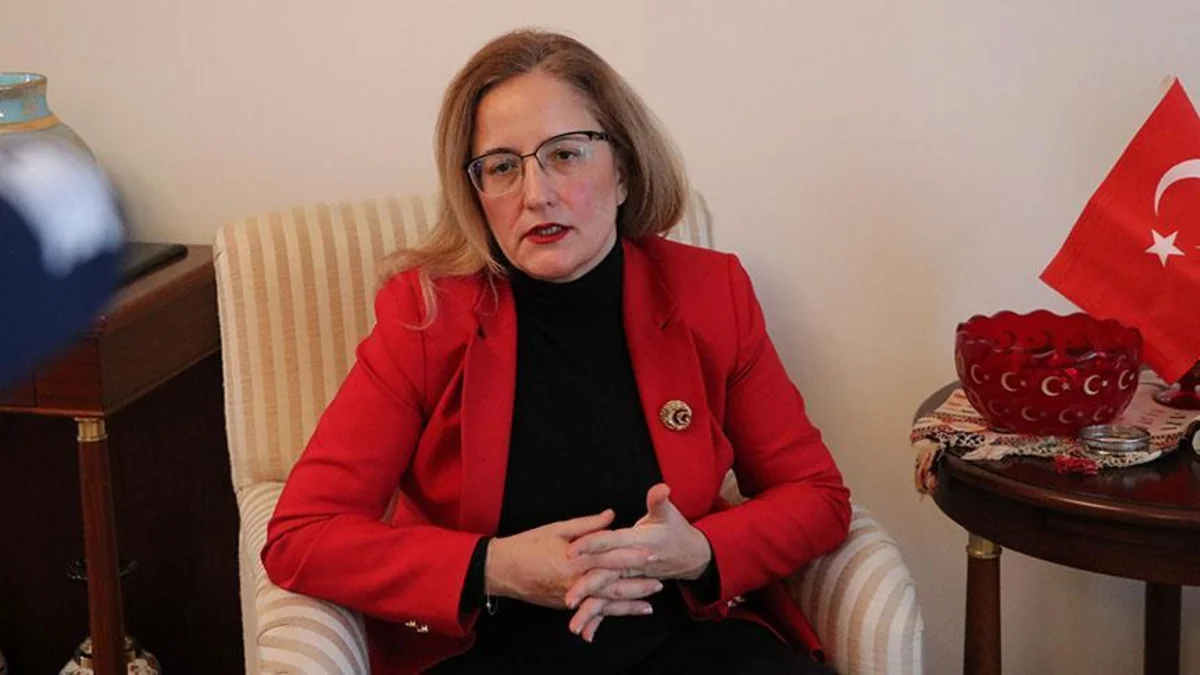 Türkiyə səfiri Ermənistan prezidentinin Gürcüstandakı təxribatına cavab verdi