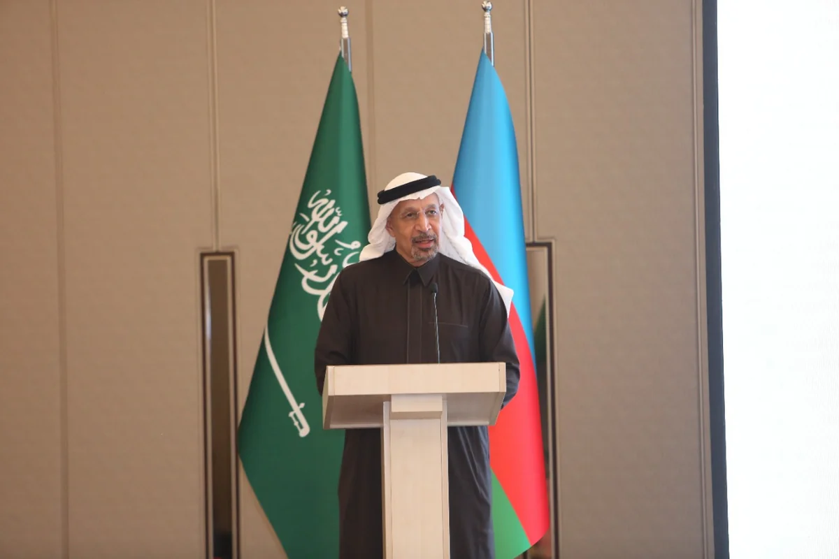 Saudi Arabia eager to participate in Azerbaijan's electricity export to Europe