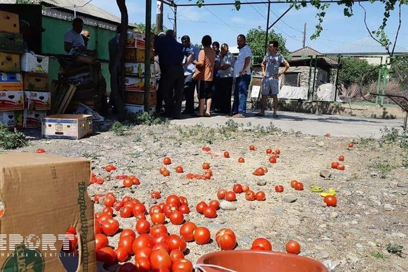 В Грузии не сумевшие продать выращенный урожай азербайджанцы провели акцию протеста - ФОТО