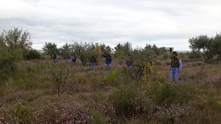 Xızıda daha 136 ədəd partlamamış hərbi sursat aşkarlanıb