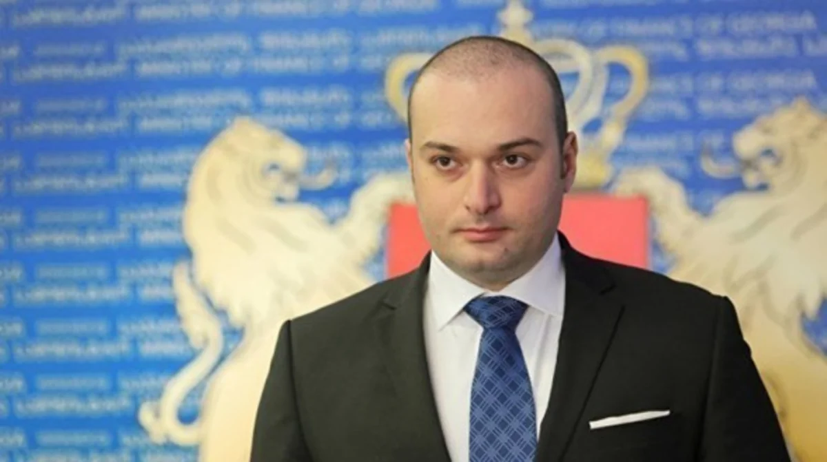 Грузия предложит транснациональным компаниям беспрецедентные льготы