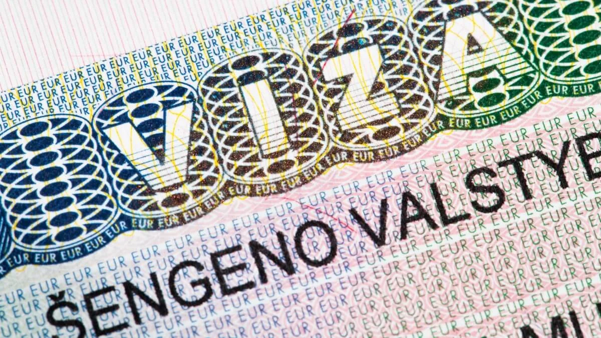 Lithuanian FM urges EU to cancel tourist visas issued to Russians