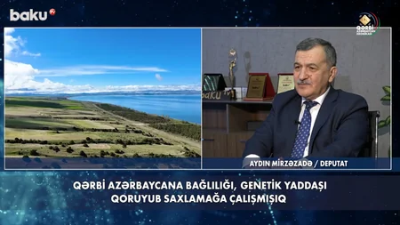 Qərbi Azərbaycan Xronikası: “Qəbiristanlığı, dini abidəni dağıtmaq vəhşiliyin bariz nümunəsidir”