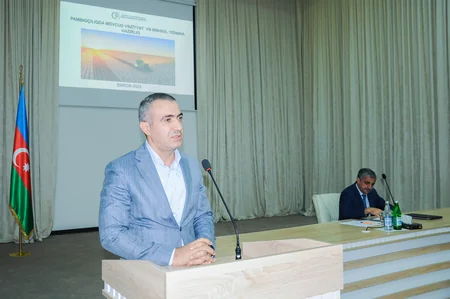 Azərbaycanda bu il 7 növ pambıq əkilib
