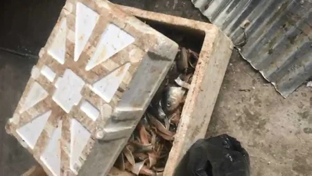 Bakı və İmişlidə hisə verilən balıq və qanunsuz ovlanan quşlar aşkarlanaraq götürülüb