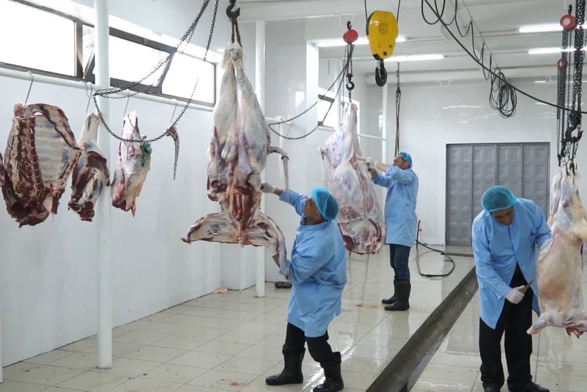 Ağdaşda yeni heyvan kəsimi məntəqəsi istifadəyə verilib