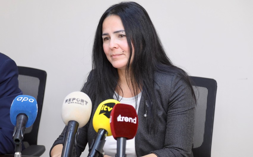Assosiasiya: “Tikinti materialların istehsalında yaşıl və təmiz texnologiyalara üstünlük veriləcək”