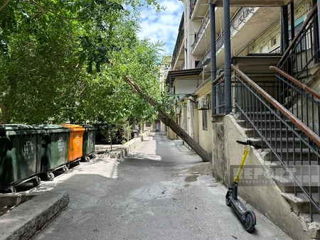 Bakıda qəzalı vəziyyətə düşən ağac sakinlər üçün təhlükəyə çevrilib