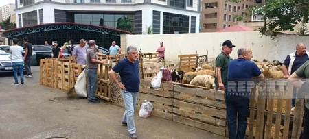 Paytaxt sakinləri qurban kəsir