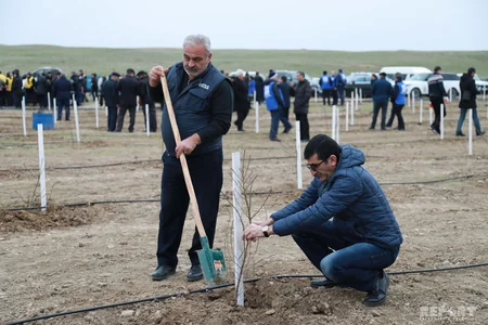 Report News Agency takes part in tree planting campaign - VIDEO