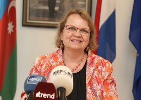 Посол: Нидерланды и Азербайджан обладают большим потенциалом экономического сотрудничества