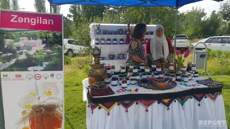 Gabala today hosts the V International Jam Festival