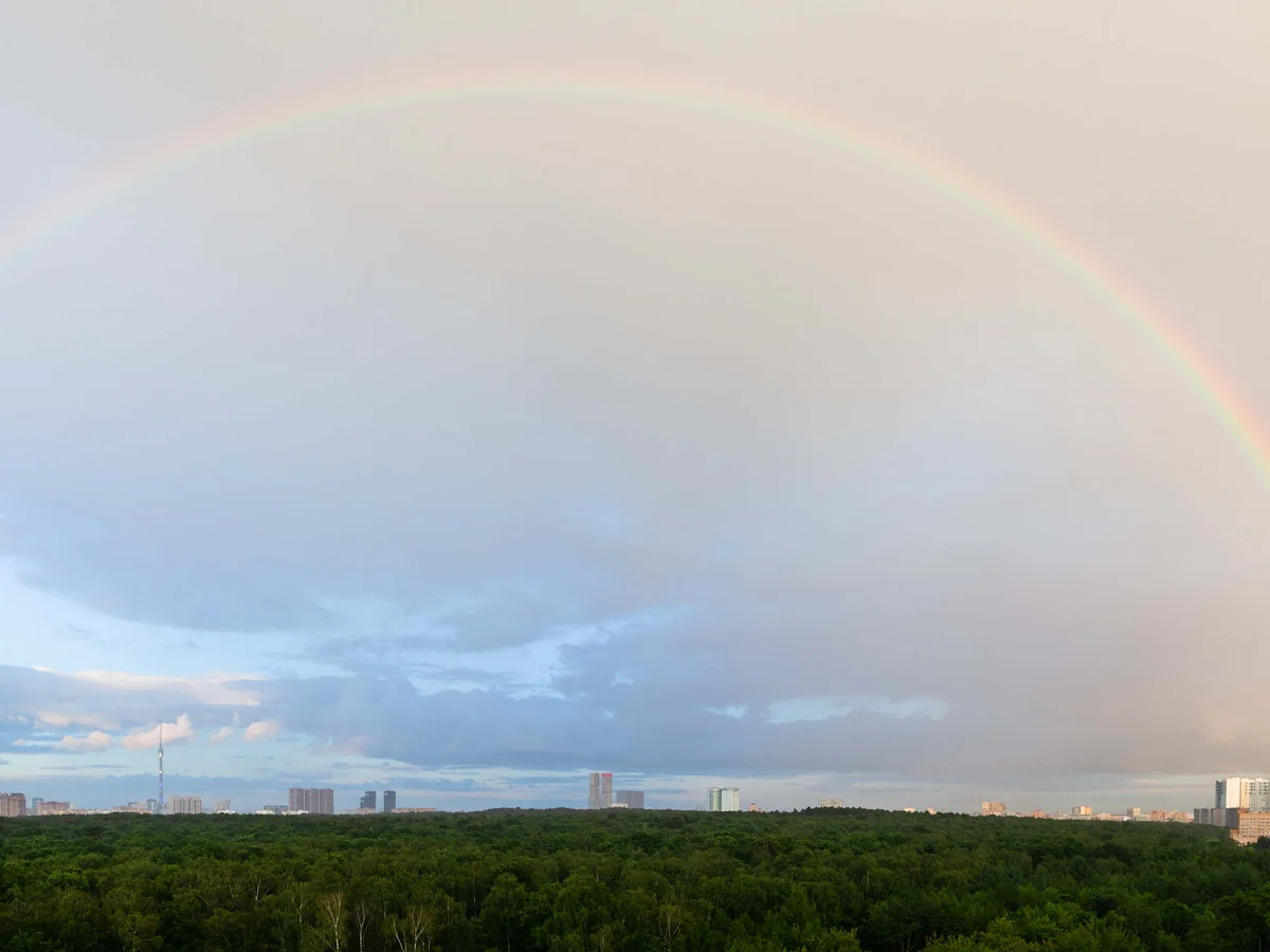 Weather forecast for February 1 announced