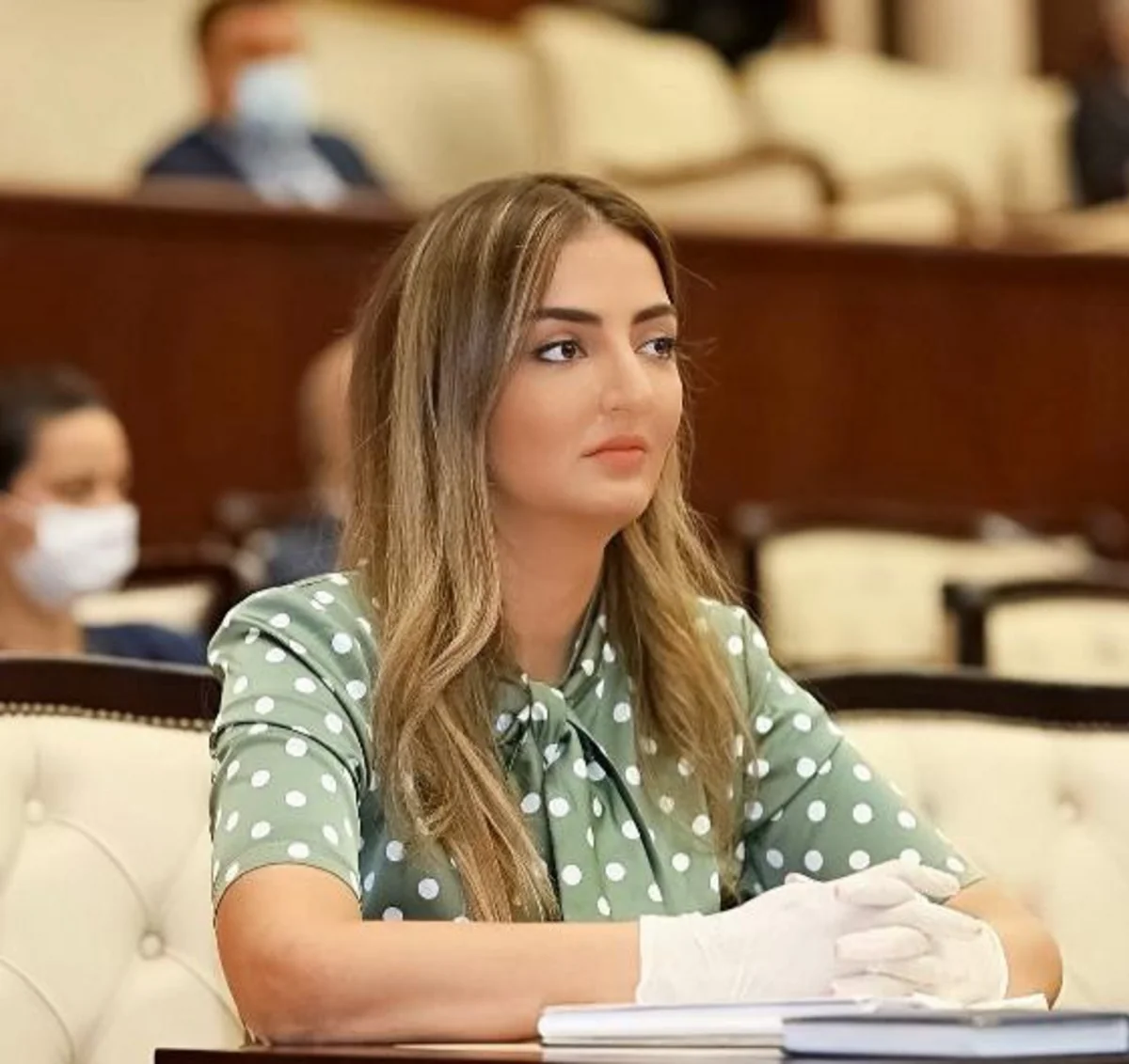 Könül Nurullayeva BMT-nin qəbul etdiyi bəyanatın əhəmiyyətindən danışdı