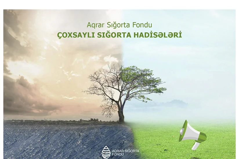 Azərbaycanda hava şəraiti ilə əlaqədar təsərrüfatlara dəymiş zərər hesablanır
