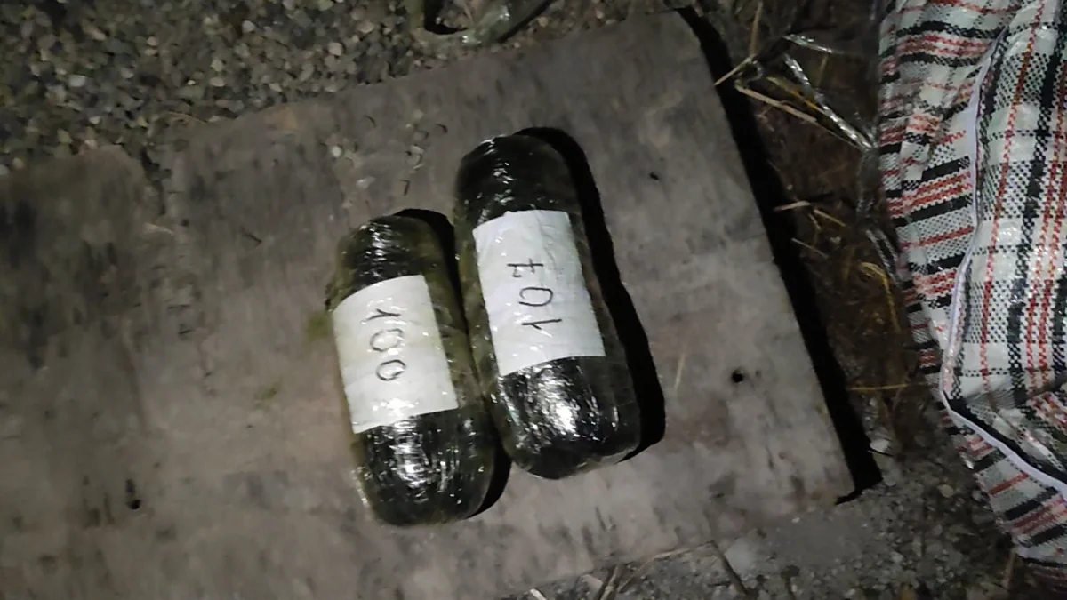 Samuxda narkokuryerlik edən şəxsdən 16 kiloqrama yaxın narkotik aşkarlanıb