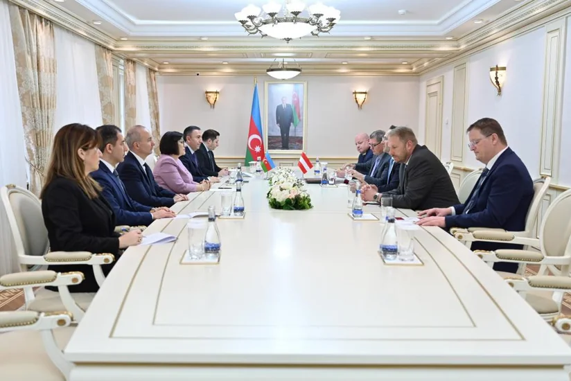 Azerbaijani parliament’s speaker, head of Austria-South Caucasus friendship group mull intensification of parliamentary relations