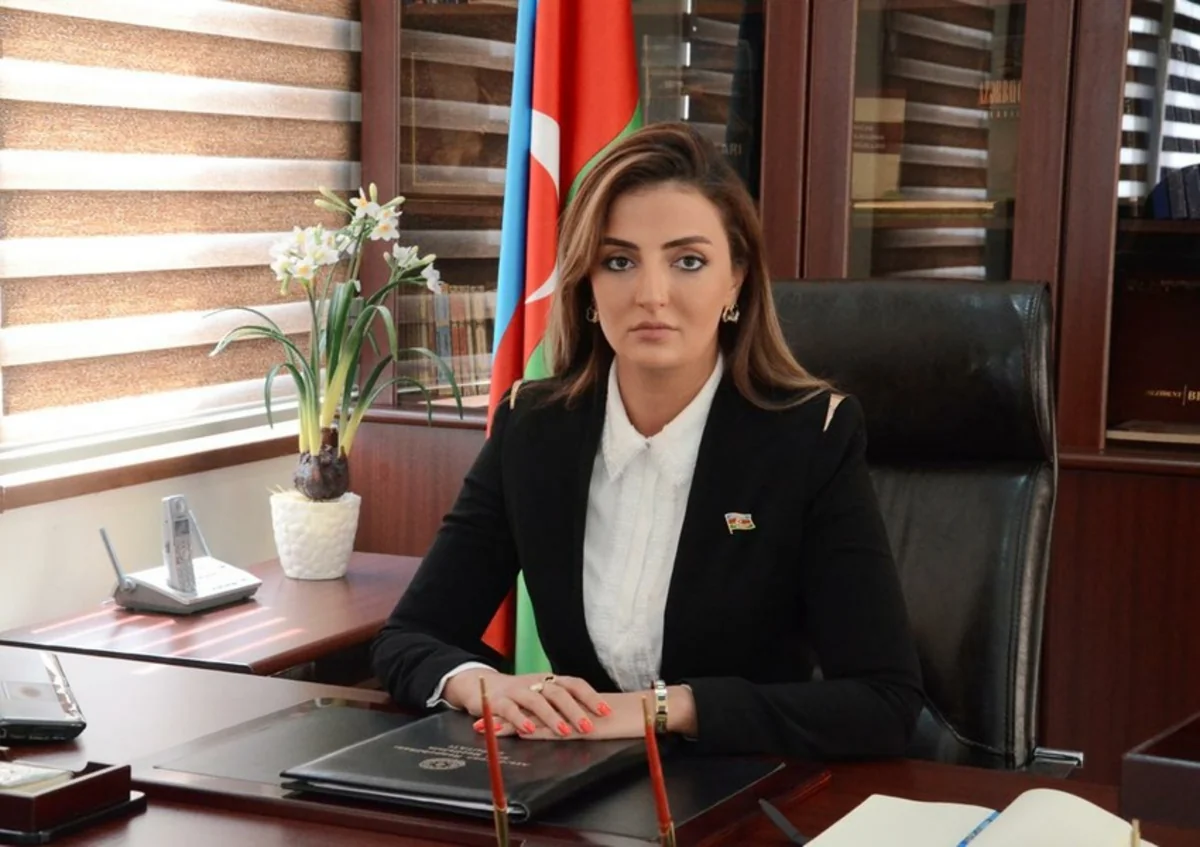 Azerbaijani MP: For West, Pashinyan is leader of military junta