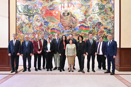 Sahibə Qafarova Almaniya Bundestaqının nümayəndə heyəti ilə görüşüb