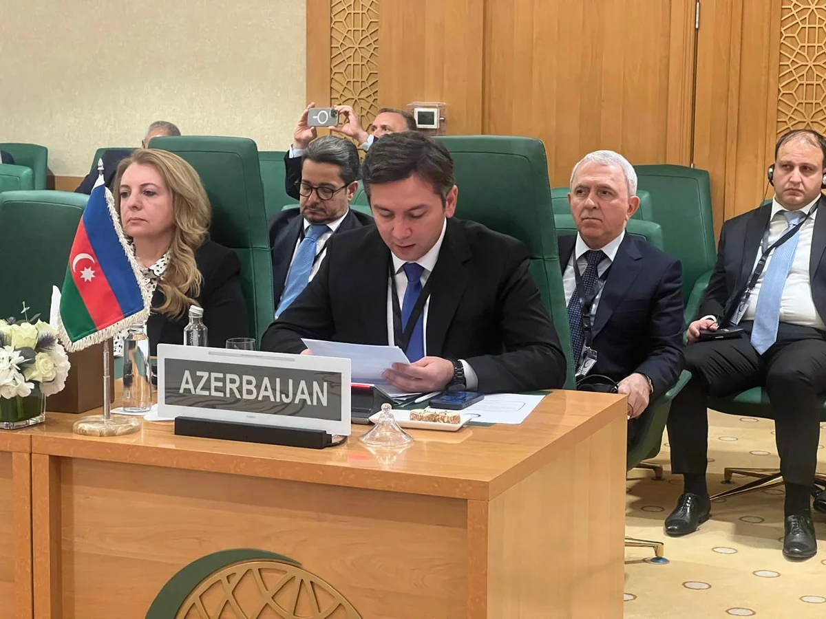МИД Азербайджана: Важно создать условия для доставки гуманитарной помощи в Газу