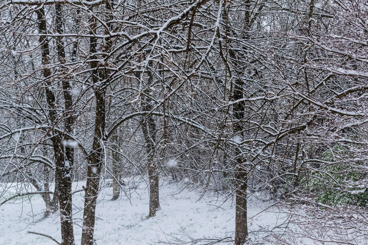 Dağlıq rayonlarda qar yağıb