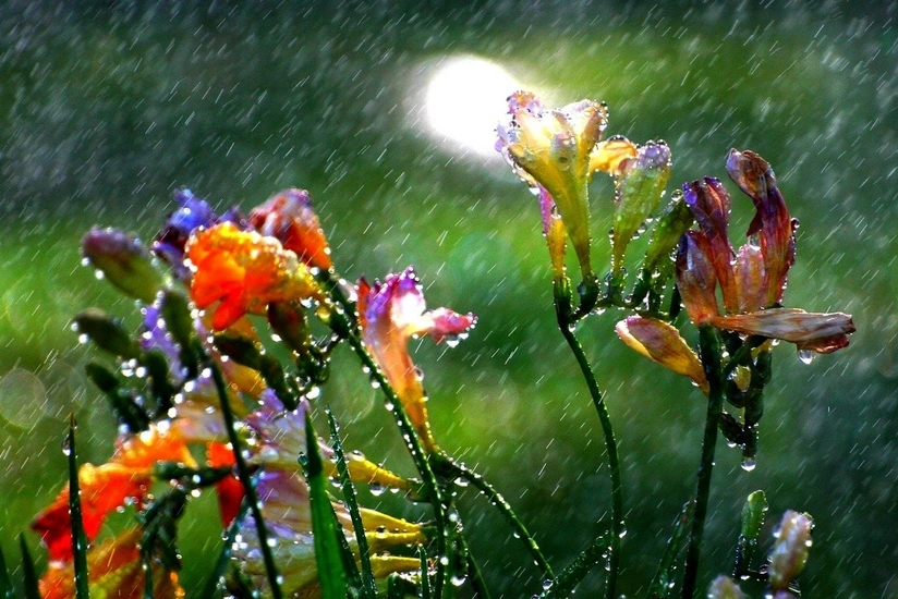 Heavy rains expected in Baku tomorrow - WARNING