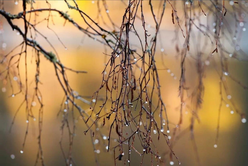 Bölgələrə leysan yağış yağıb, şimşək çaxıb