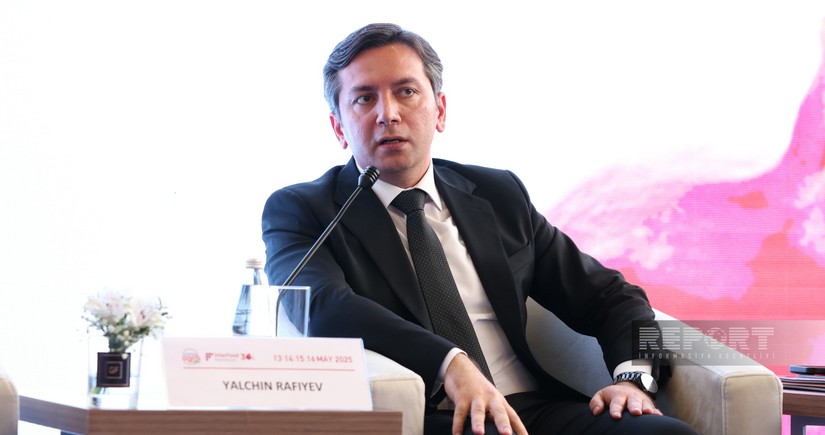 При МИД Азербайджана создано Управление климатической дипломатии
