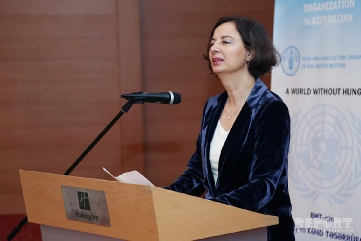 Mələk Çakmak: Azərbaycan donor ölkə olaraq digər ölkələrə yardım edə bilər - EKSKLÜZİV