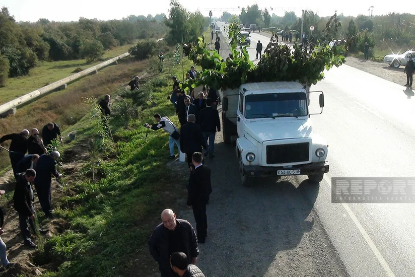 Sabirabadda Zəfər Günü münasibətilə 10 min ədəd ağac əkilib