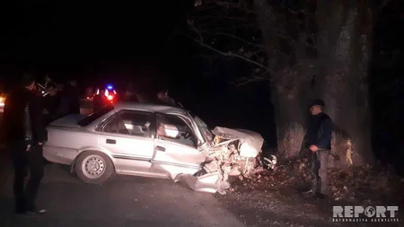 Qəbələdə avtomobilini ağaca çırpan sürücü xəsarət alıb - FOTO
