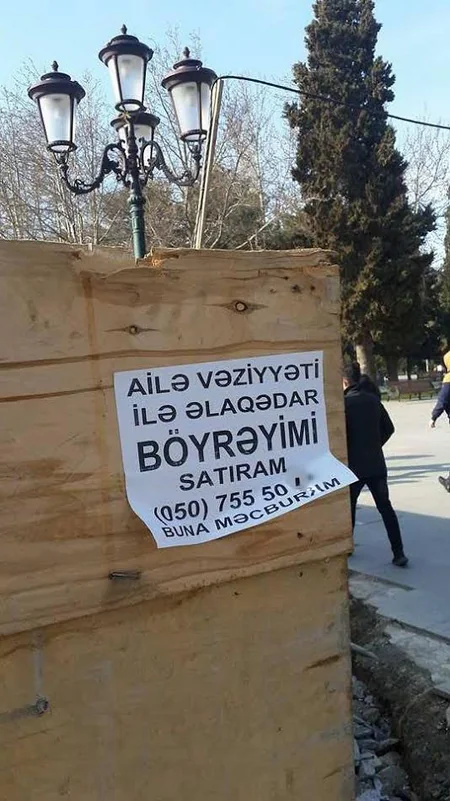 Baş cərrah: Böyrək satanlar cinayət edirlər - FOTO