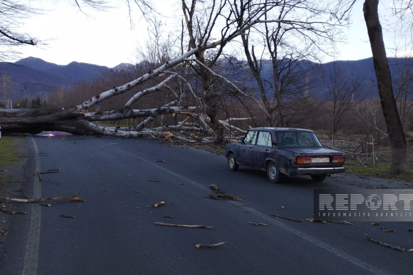 Güclü külək Oğuzda bir sıra fəsadlar törədib
