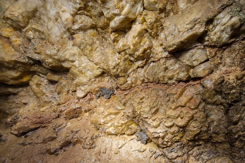 “Çovdar” yatağının yeraltı qatının istismarından 400 mln. manatdan artıq gəlir nəzərdə tutulur