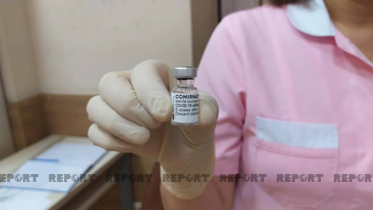 Azərbaycan olimpiyaçılarının 80 faizi peyvəndlənib