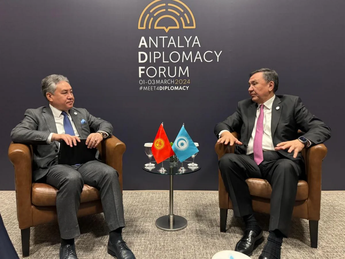 Kyrgyz FM meets with OTS Secretary General