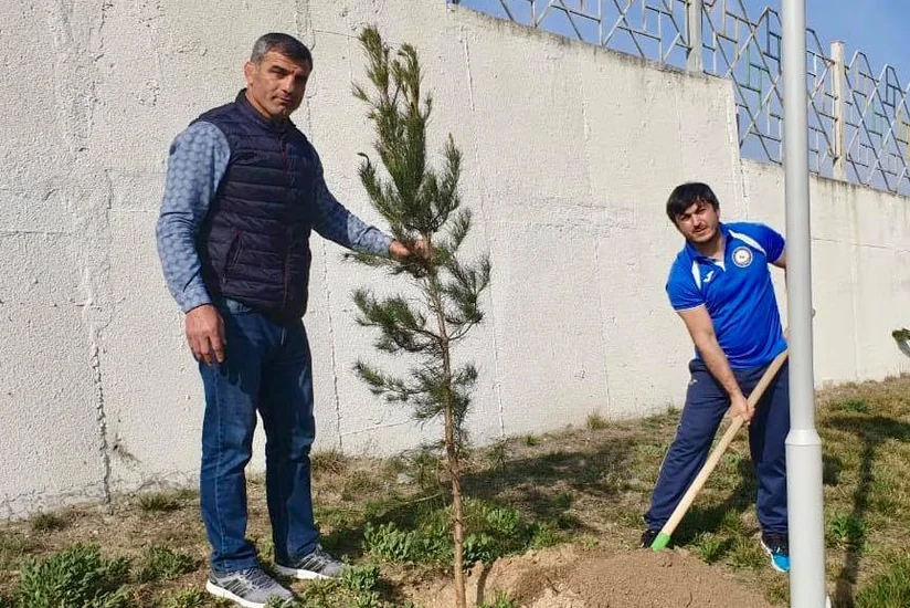 Cüdoçular Göygöldə yaşıllaşdırma aksiyasında iştirak ediblər