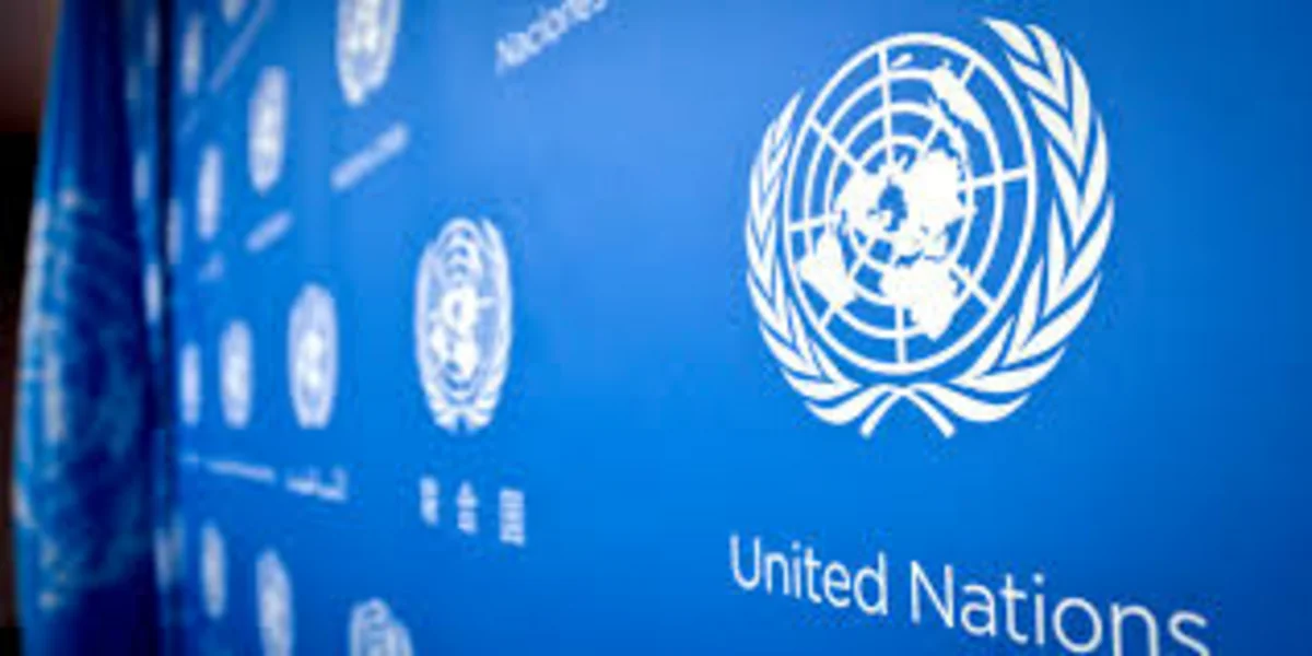 ООН отметила рост ксенофобии в Венгрии