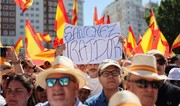 Десятки тысяч человек приняли участие в антиправительственной акции в Мадриде