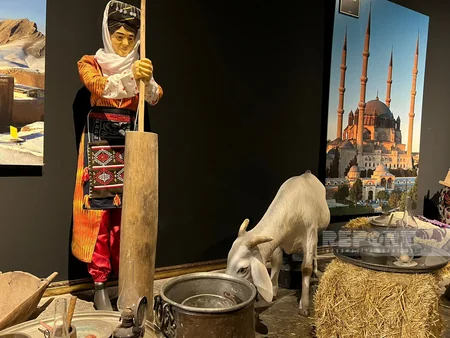 “Anadolunun qapılarını türklərin üzünə əbədi açan son döyüş” -  REPORTAJ