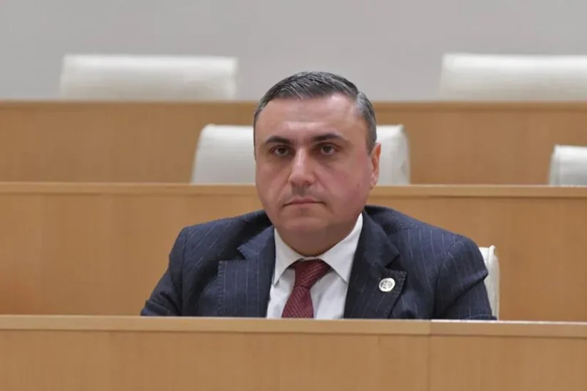 Davit Matikaşvili: “Human Rights Watch”un yanlış şərhləri gələcəkdə deyiləcək bütün sözləri şübhə altına salır
