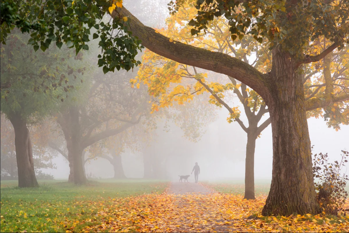 Dekabrın 3-dək hava şəraiti qeyri-sabit keçəcək - XƏBƏRDARLIQ