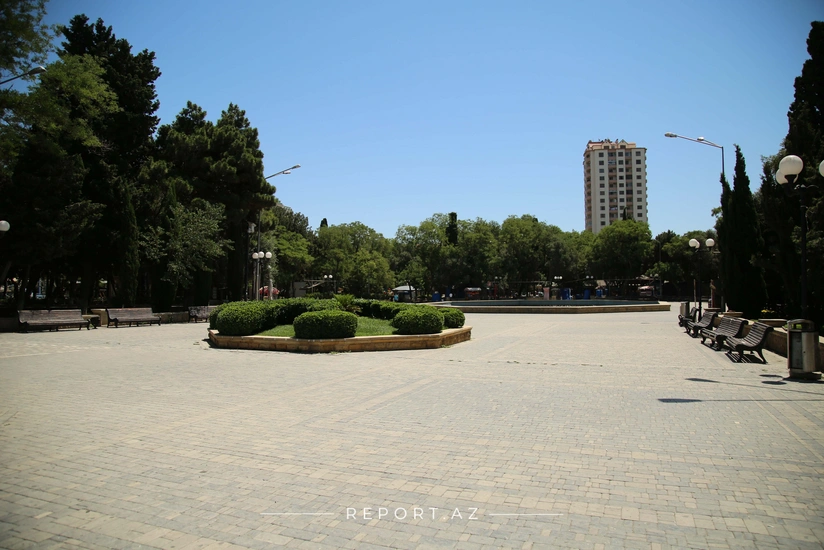 “Dənizkənarı Milli Park”ın direktoru dəyişib