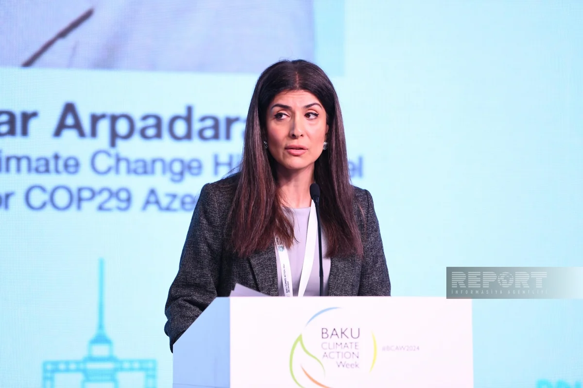 UN Champion for COP29 says necessary to use power of science to combat climate change consequences