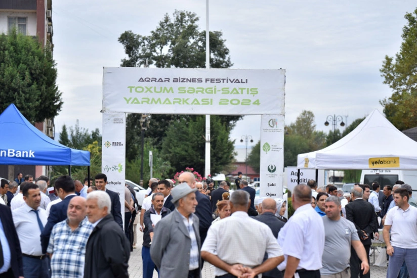 Masallı və Neftçalada növbəti toxum sərgi-satış yarmarkaları keçirilib