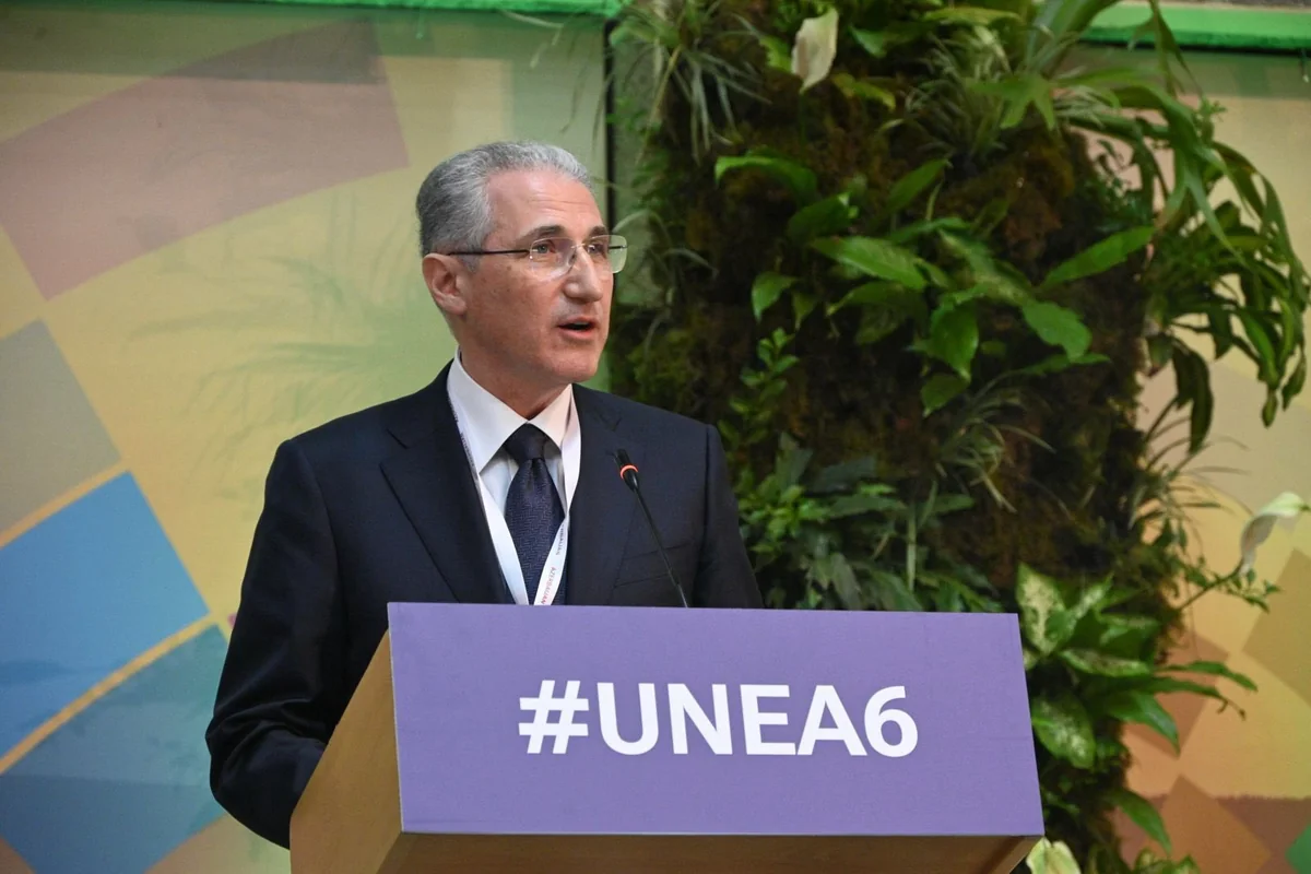 COP29-un prezidenti BMT-nin Ətraf Mühit Assambleyasının 6-cı sessiyasında çıxış edib