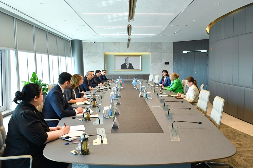 Азербайджан и ООН обсудили проекты, реализуемые в Карабахе