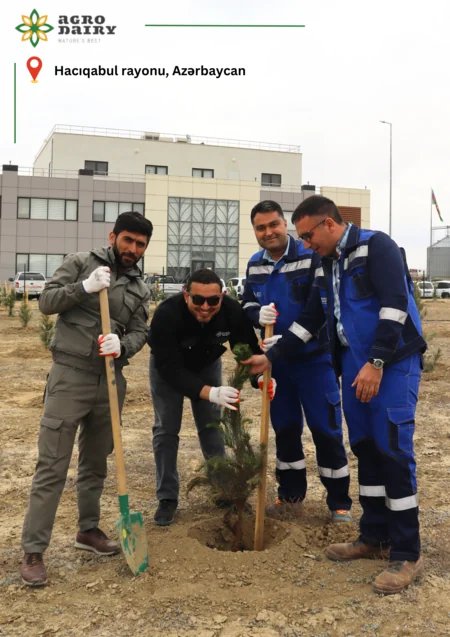 “Agro Dairy” “Hərəyə bir ağac əkək!” aksiyası keçirib